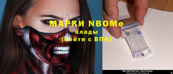 ешки Корсаков