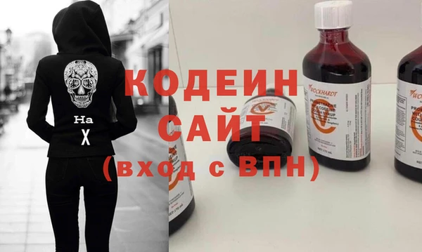 ешки Корсаков