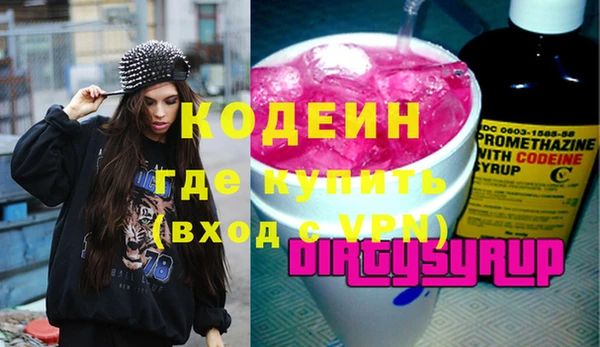 ешки Корсаков