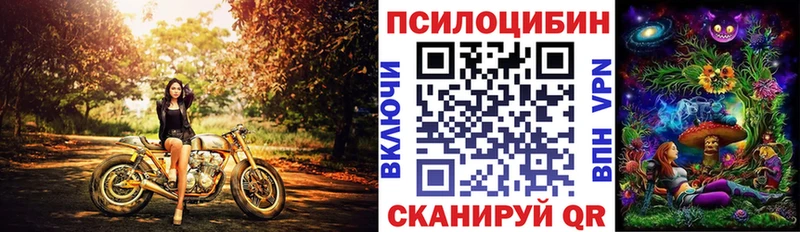 Купить  Ангарск  Галлюциногенные грибы Magic Shrooms